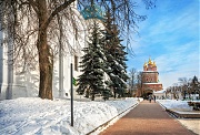 Елки и Предтеченский храм в Лавре. г. Сергиев Посад