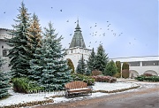 Башня и птицы. Пафнутьев монастырь. г. Боровск, Калужская обл.