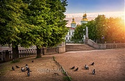 По разные стороны. Голуби у Никольского собора. г.Санкт-Петербург