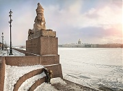 Зимний Санкт-Петербург. Сфинкс на Университетской набережной