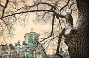 Зимний Санкт-Петербург. Эрмитаж в ветвях дерева