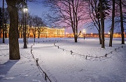 Зимний Санкт-Петербург. Зимнее утро в Александровском саду с видом на памятник Петру Первому