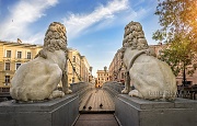 Крепкие тылы львов на Львином мосту. Фотографии Санкт-Петербурга.