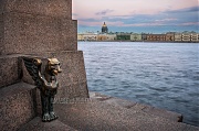 Маленький грифон на Университетской набережной. Фотографии Санкт-Петербурга.