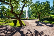 Оранжерейный фонтан в Петергофе