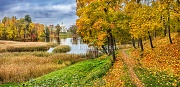 Осень и Дворец на берегу пруда. г.Ломоносов