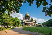 Исаакиевский собор и сирень. г. Санкт-Петербург