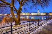 Голубое зимнее утро у Кунсткамеры. г. Санкт-Петербург