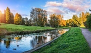 Пейзаж на реке в Павловске. г. Санкт-Петербург