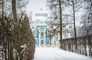 Голубь у павильона Эрмитаж в Царском Селе. г. Санкт-Петербург