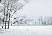 Павильон Грот и деревья в Царском Селе. г. Санкт-Петербург