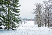 Снежный вид  в Царском Селе. г. Санкт-Петербург