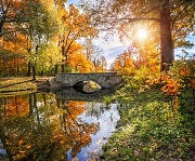 Осенний пейзаж и мост. Царское Село