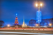Петропавловская крепость и ель. г. Санкт-Петербург