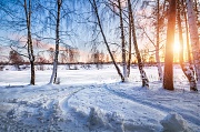 Зимний пейзаж. Зимний сон деревьев