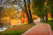 Осень в Царицынском парке (Москва)