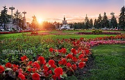 Цветочный рай на ВДНХ (Москва)
