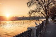 Утки встречают рассвет на парапете набережной Москва-реки (г.Москва)
