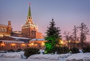 Ненаряженная елка у Кремля. г.Москва