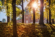 Фотографии Москвы золотой осенью. Вертикали осени