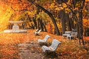 Осеннее чтение в Нескучном саду. г. Москва