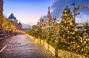 Новогодние елки и Собор Василия Блаженного на Красной Площади. г. Москва