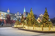 Новогодние елочки на Манежной. г. Москва