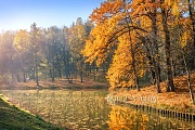 г. Москва Листья в осеннем пруду в Царицыно