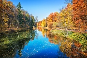 г. Москва Осенние разноцветные деревья в Царицыно