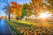 г. Москва Разноцветные деревья в осеннем Царицыно