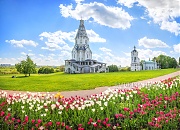 Вознесенская церковь и тюльпаны. Коломенское, г. Москва