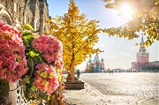 Осенние цветы на Красной Площади. г. Москва