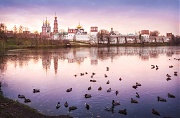 Новодевичий монастырь и розовая ночь, Москва