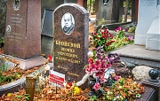 Броневой Леонид, Новодевичье кладбище, Москва