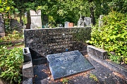 Мандельштам Леонид Исаакович, Новодевичье кладбище, Москва