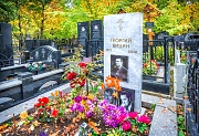 Вицин Георгий, Ваганьковское кладбище, Москва