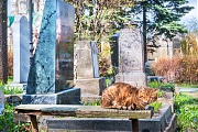 Кошка и Коломейцева Мария Никифоровна, могила, некрополь, Донской монастырь, Москва