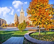 Высотка на Кудринской площади и осень, Москва
