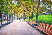 Деревья и скамейки, Гоголевский бульвар, Москва